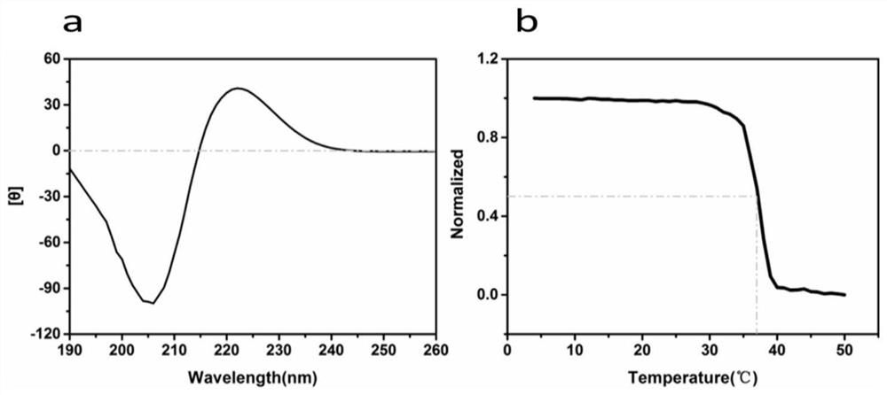 Preparation method of low-endotoxin collagen