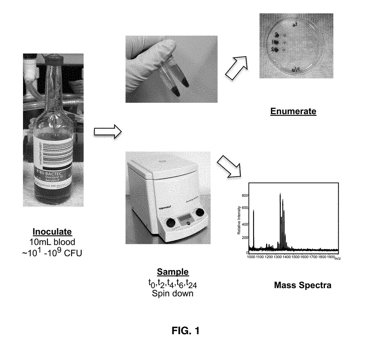 Pathogen Identification in Complex Biological Fluids