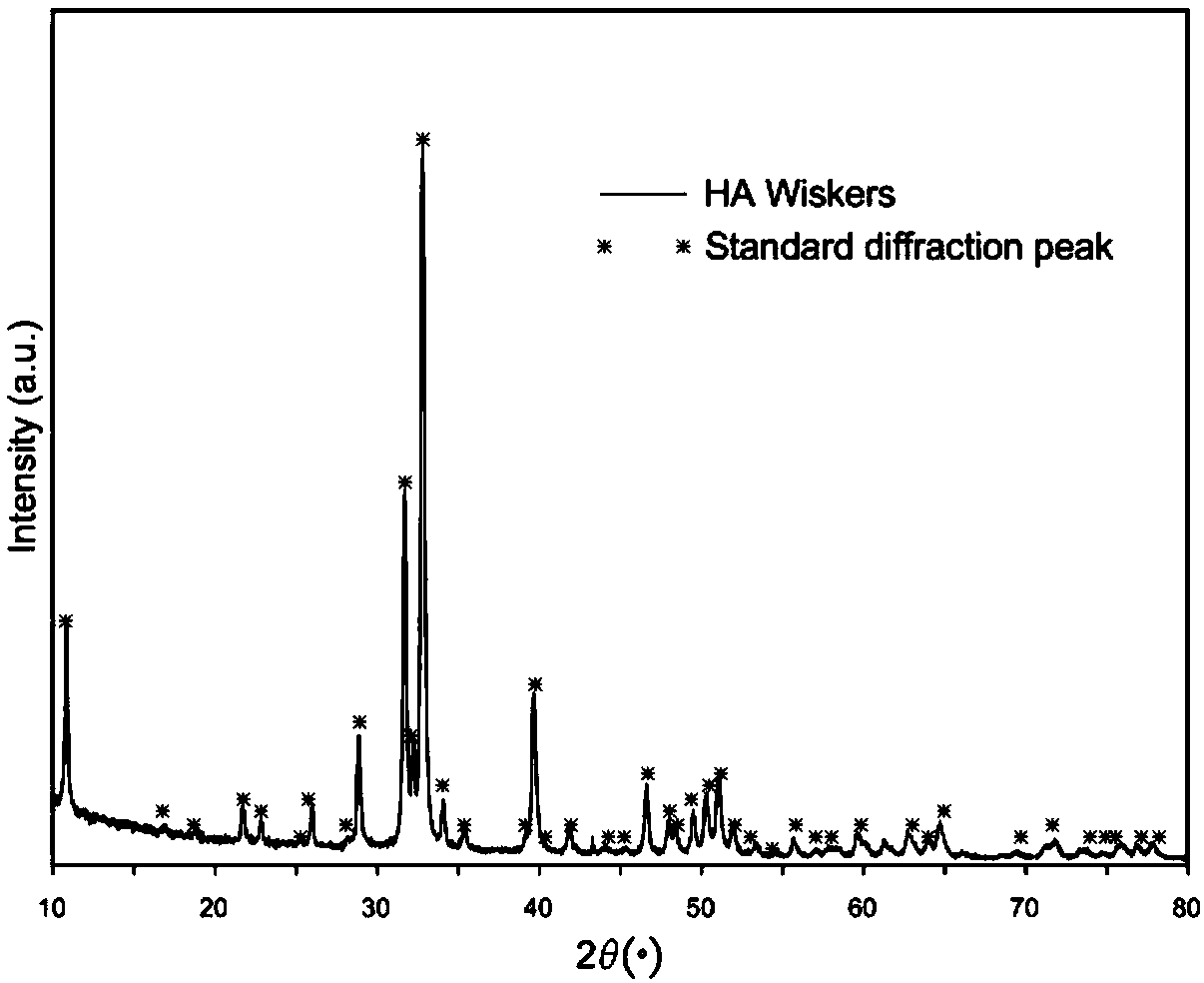 Artificial bone containing hydroxyapatite whiskers and diphasic calcium phosphate and preparation method of artificial bone