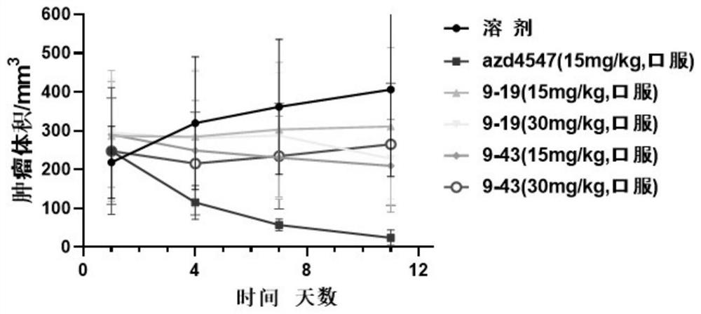 Aminopyrimido pyrazole/pyrrole derivatives and preparation method and application thereof