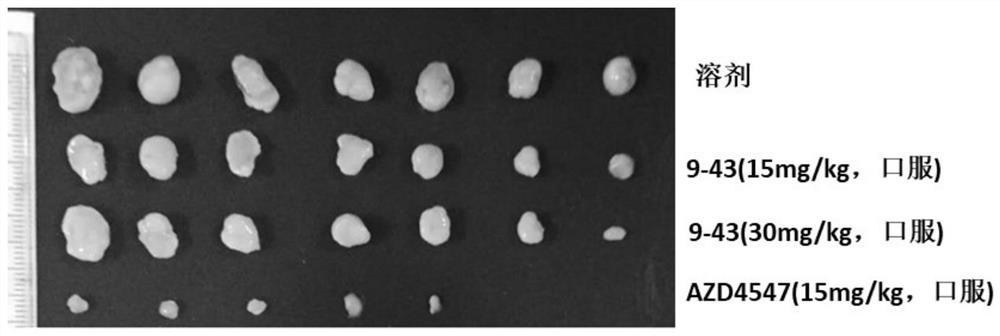 Aminopyrimido pyrazole/pyrrole derivatives and preparation method and application thereof