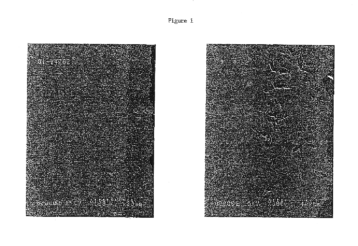 Composite surface on a stainless steel matrix