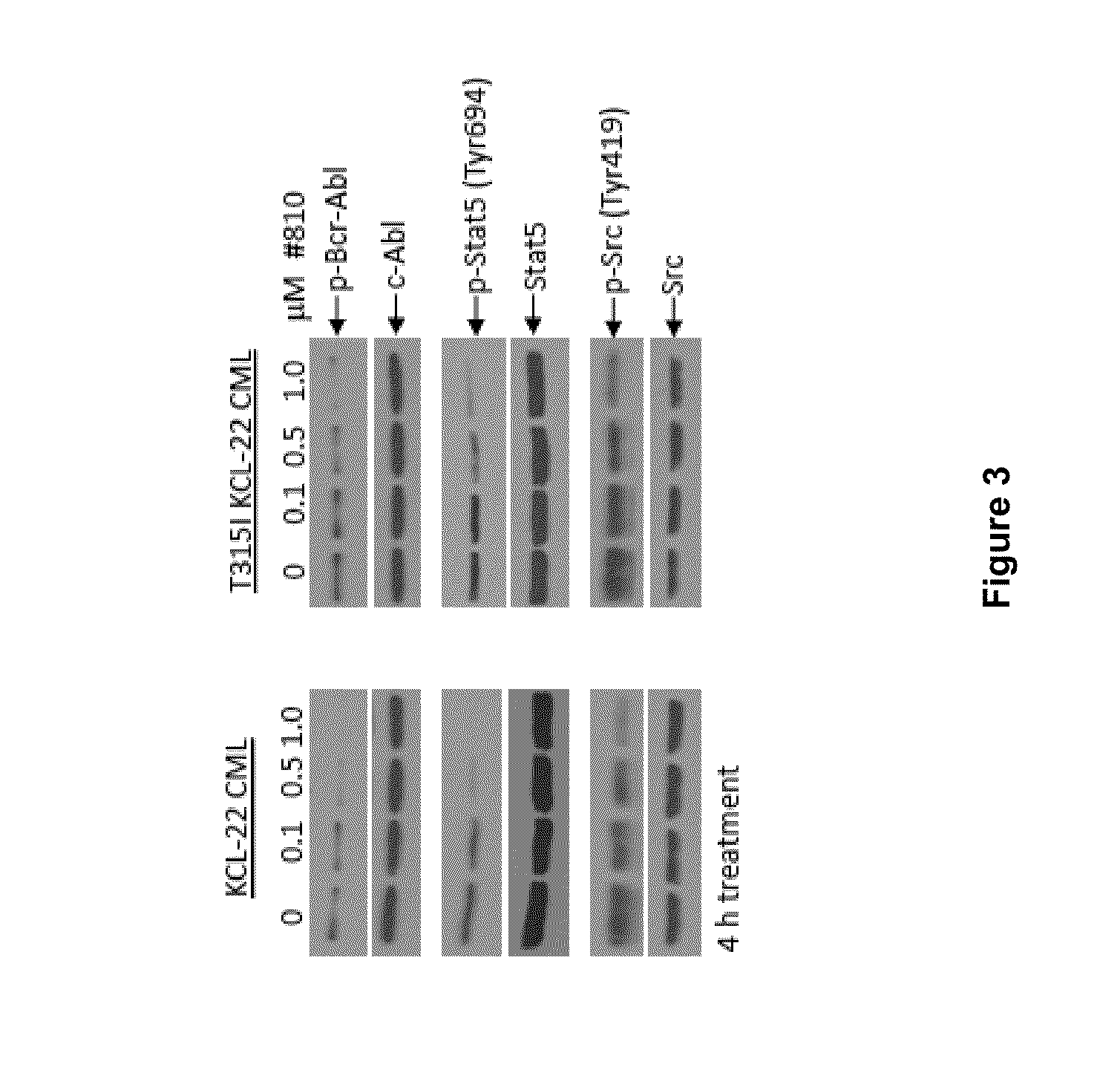 Indirubin derivatives and uses thereof in treating chronic myelogenous leukemia