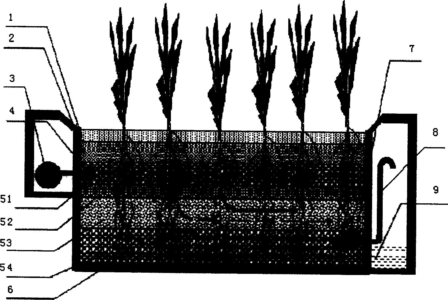 Polluted water ecological treatment composite process