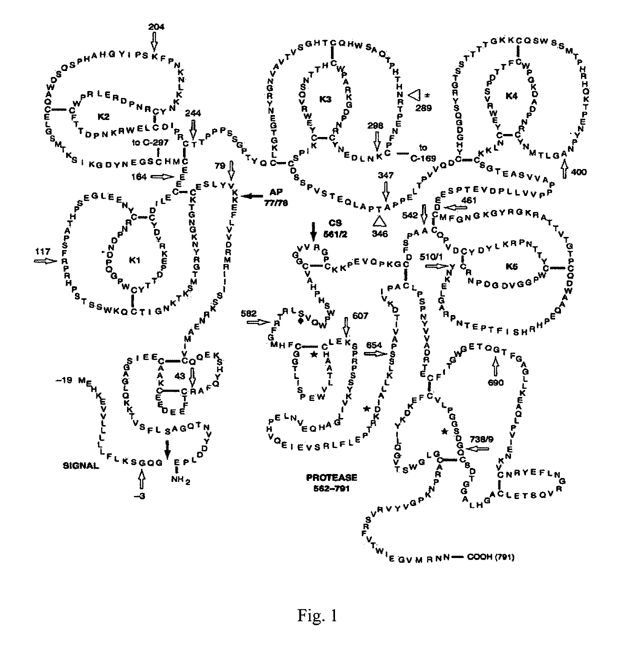 Method of detection of proteolysis products in plasma and a diagnostic system for its application