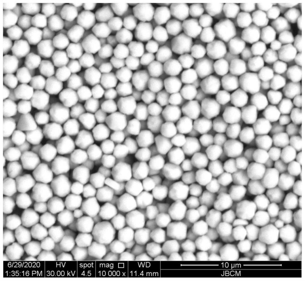 Microcrystal silver powder with nano-silver surface structure, and preparation method thereof