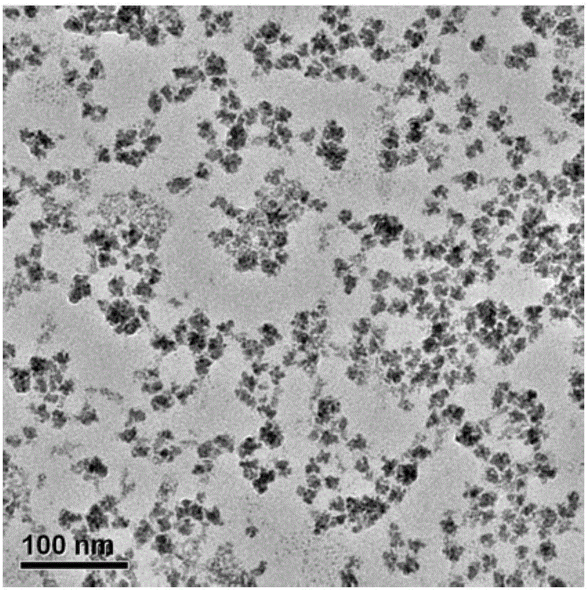 Bismuth selenide nanocomposite material and preparation method and application thereof