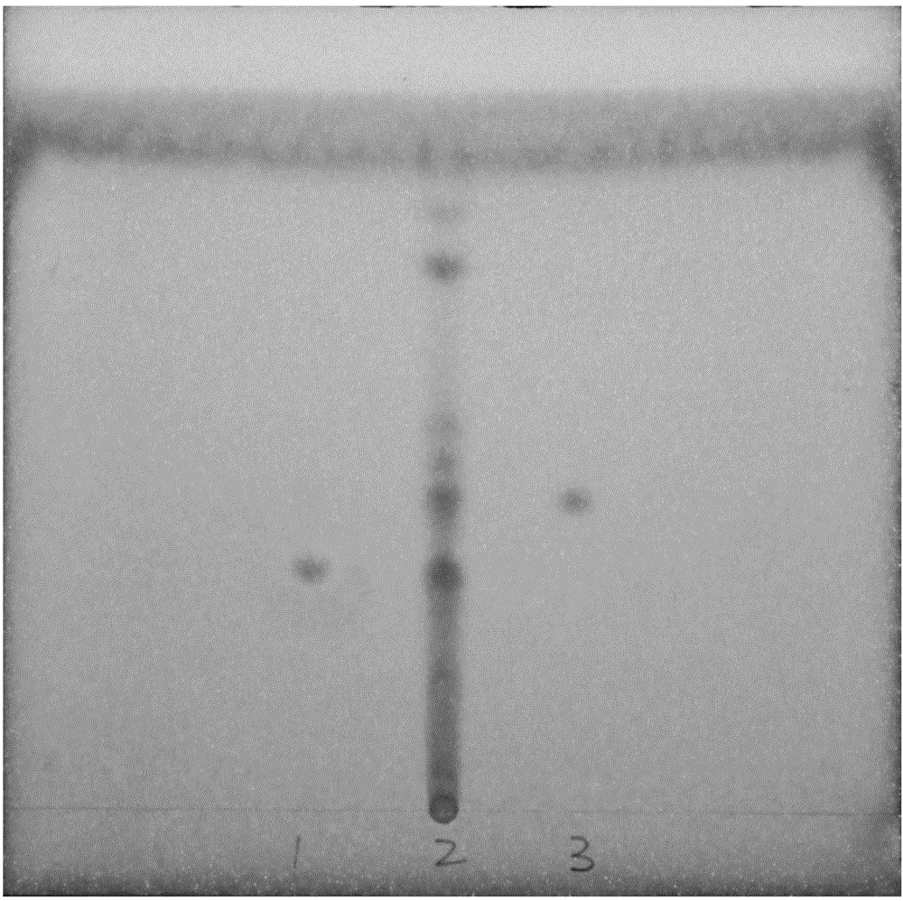 Thin layer chromatographic detection method for traditional Chinese medicine composition for improving immunity of animals