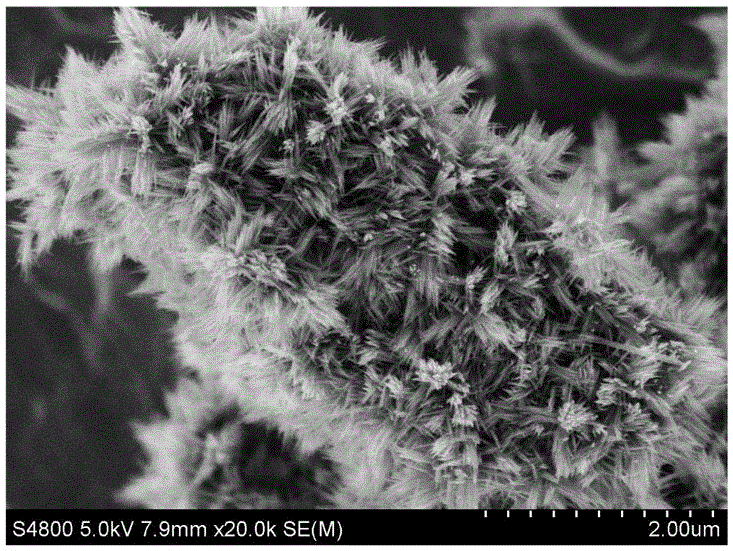 Graphene oxide/titanium dioxide nano-needle composite material and preparation method and application thereof