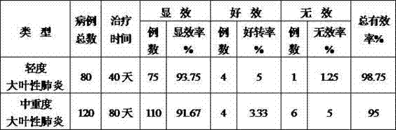 Medicine for treating lobar pneumonia and preparation method thereof