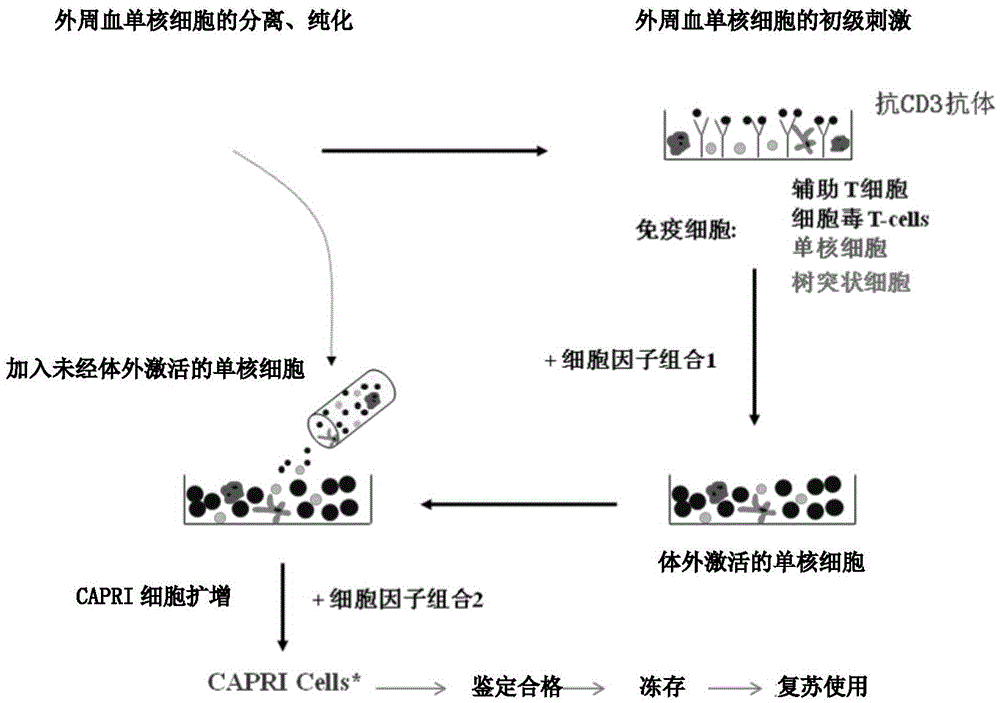 CAPRI cell and preparation method thereof