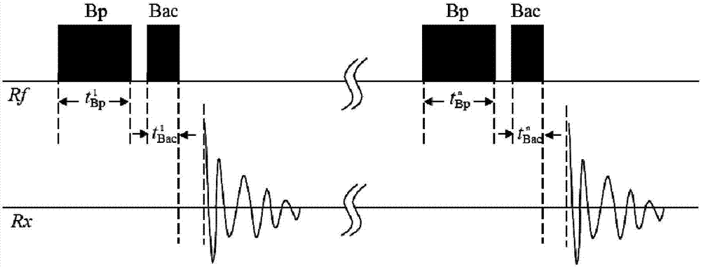 A kind of helicopter pre-polarization field magnetic resonance oil and gas detection device and detection method