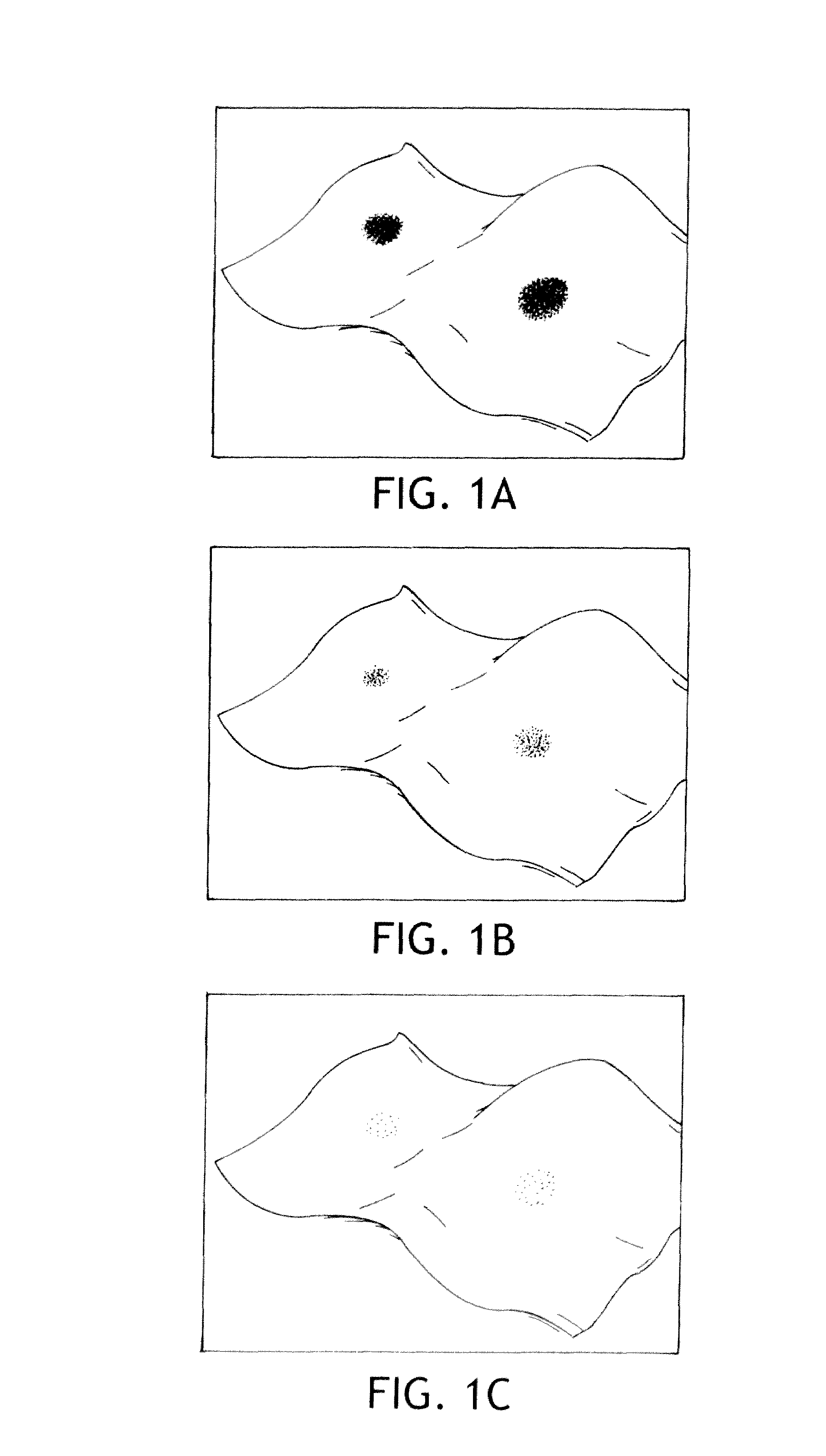 Absorbent Products with Wetness Sensors