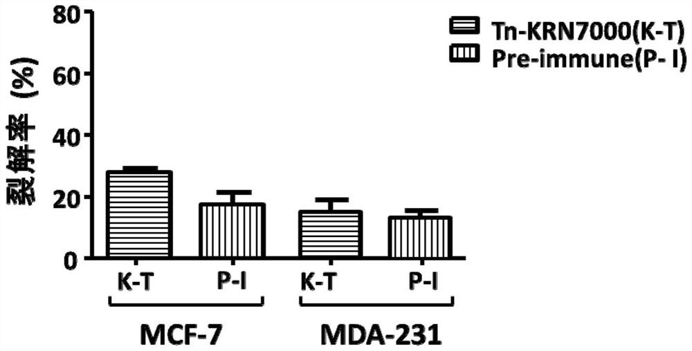 Conjugate containing alpha-galactosylceramide analogue and carbohydrate antigen as well as preparation method and application of conjugate