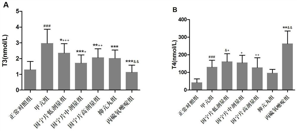 A traditional Chinese medicine compound preparation for anti-hyperthyroidism and liver protection and preparation method thereof