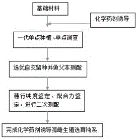 Method for obtaining pure line through inducing parthenogenesis of Zea mays by chemical agent