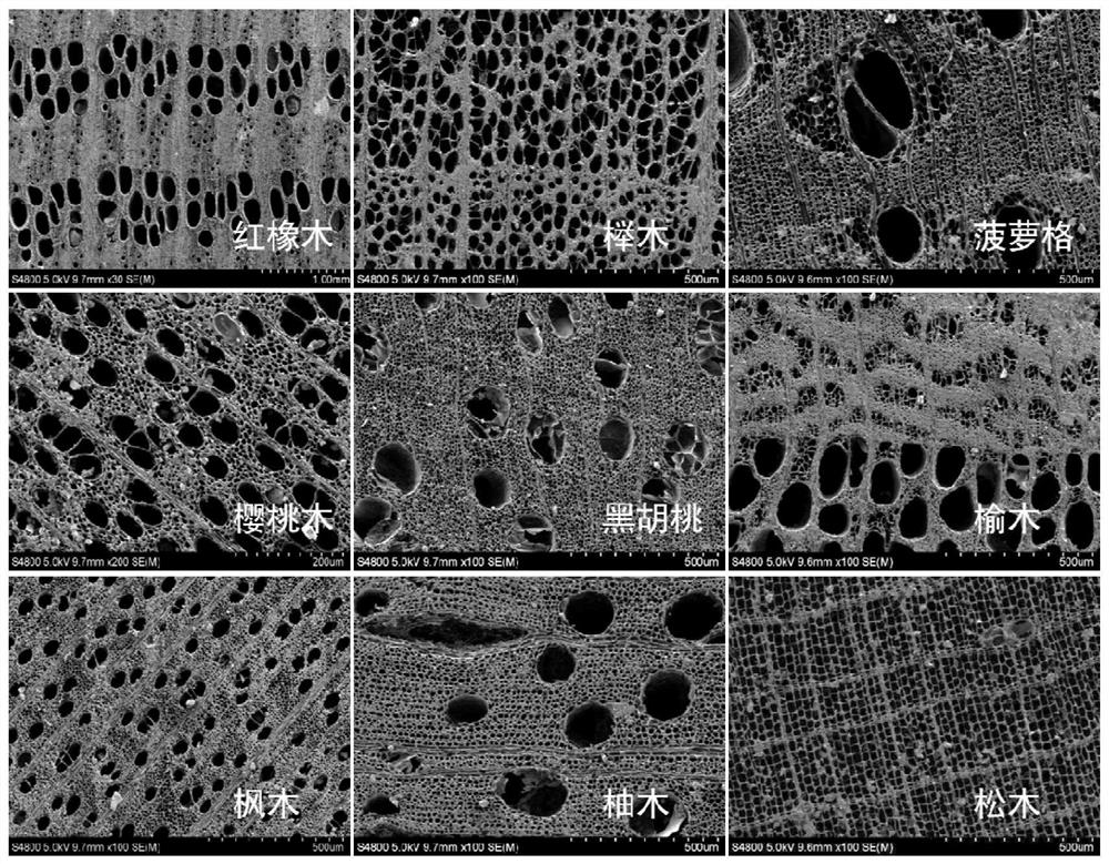 A biomorphic silicon carbide ceramic high temperature photothermal storage material