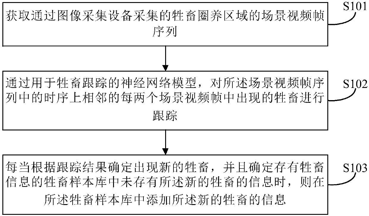 Livestock sample library establishing method and checking method, storage medium and electronic device