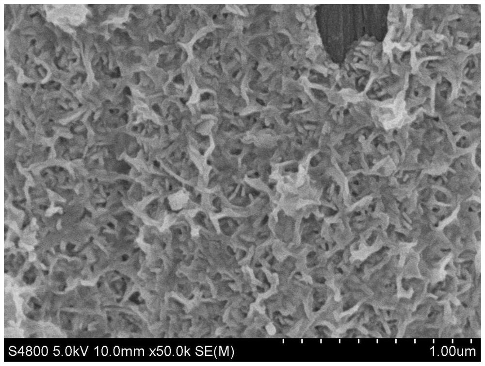 a co  <sub>9</sub> the s  <sub>8</sub> Preparation method of self-supporting negative electrode of carbon felt sodium ion battery