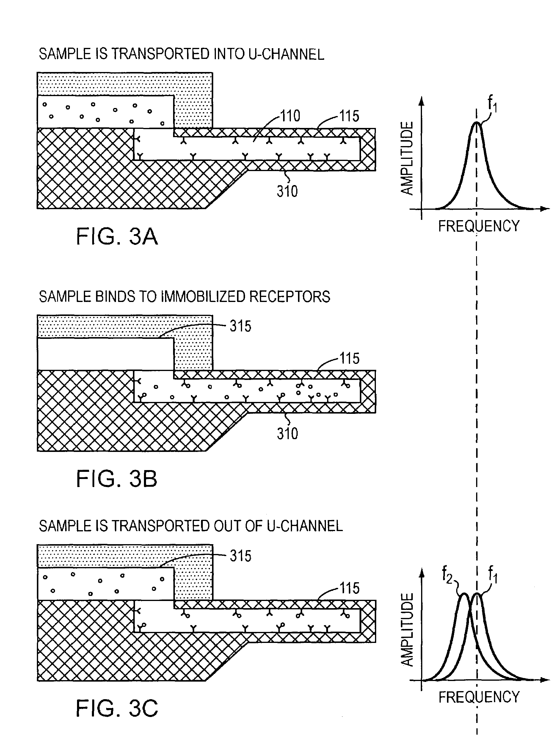 Measurement of concentrations and binding energetics