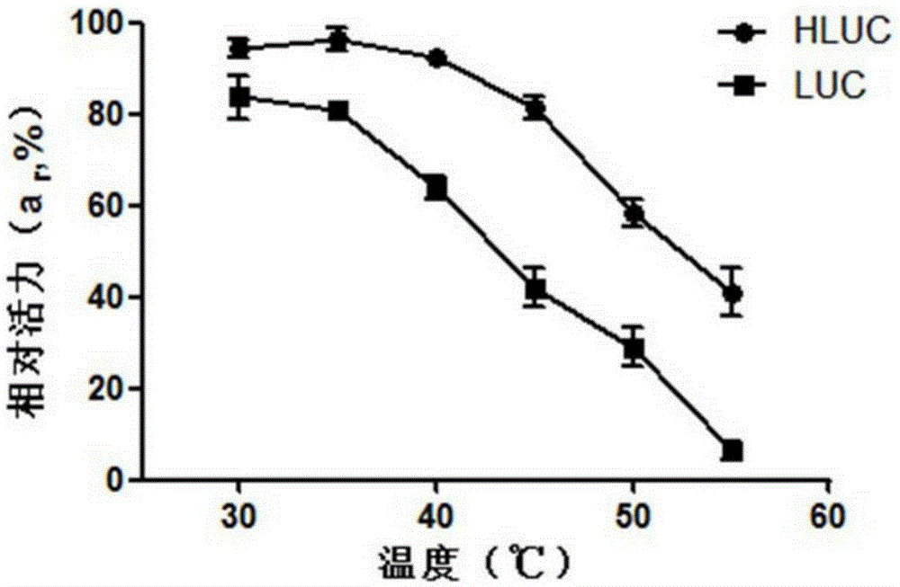 Encoding gene of firefly luciferase and preparation method of firefly luciferase