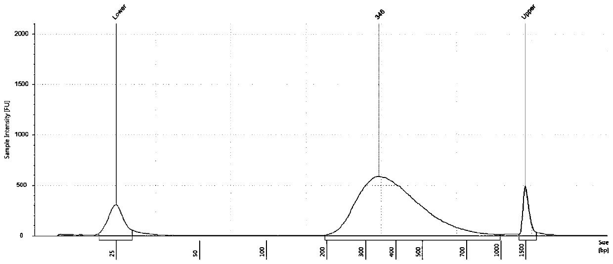 DNA library for detecting and diagnosing corneal dystrophy disease-causing genes as well as application of DNA library