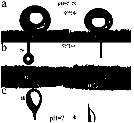 Magnetic oil-water separation material and preparation method thereof and oil-water separation sponge