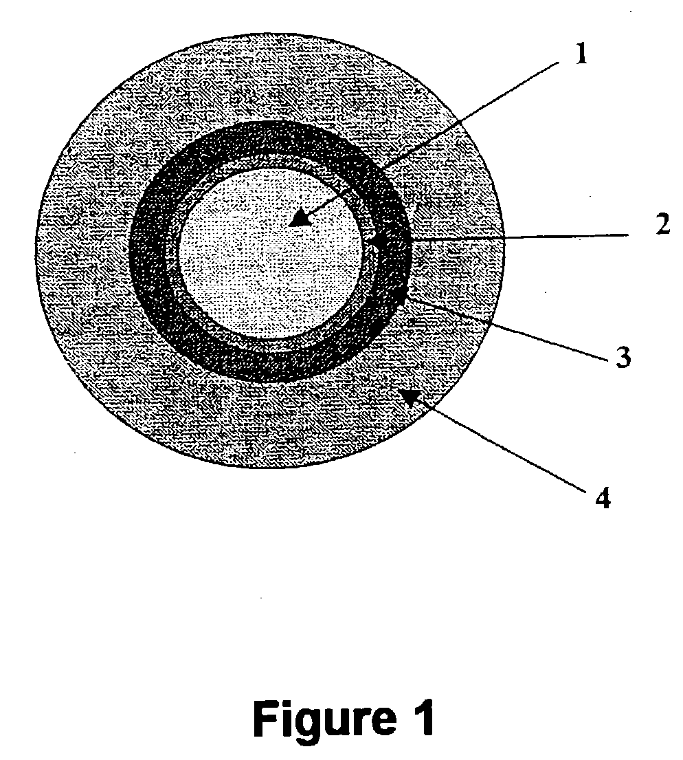 Polymeric optical conductors