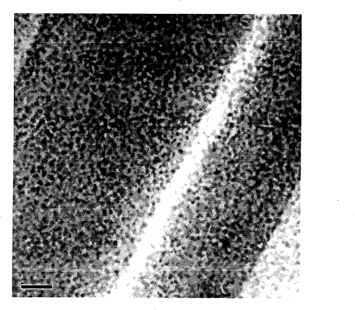 High stability polymer-based nano catalyst and preparation method and use thereof