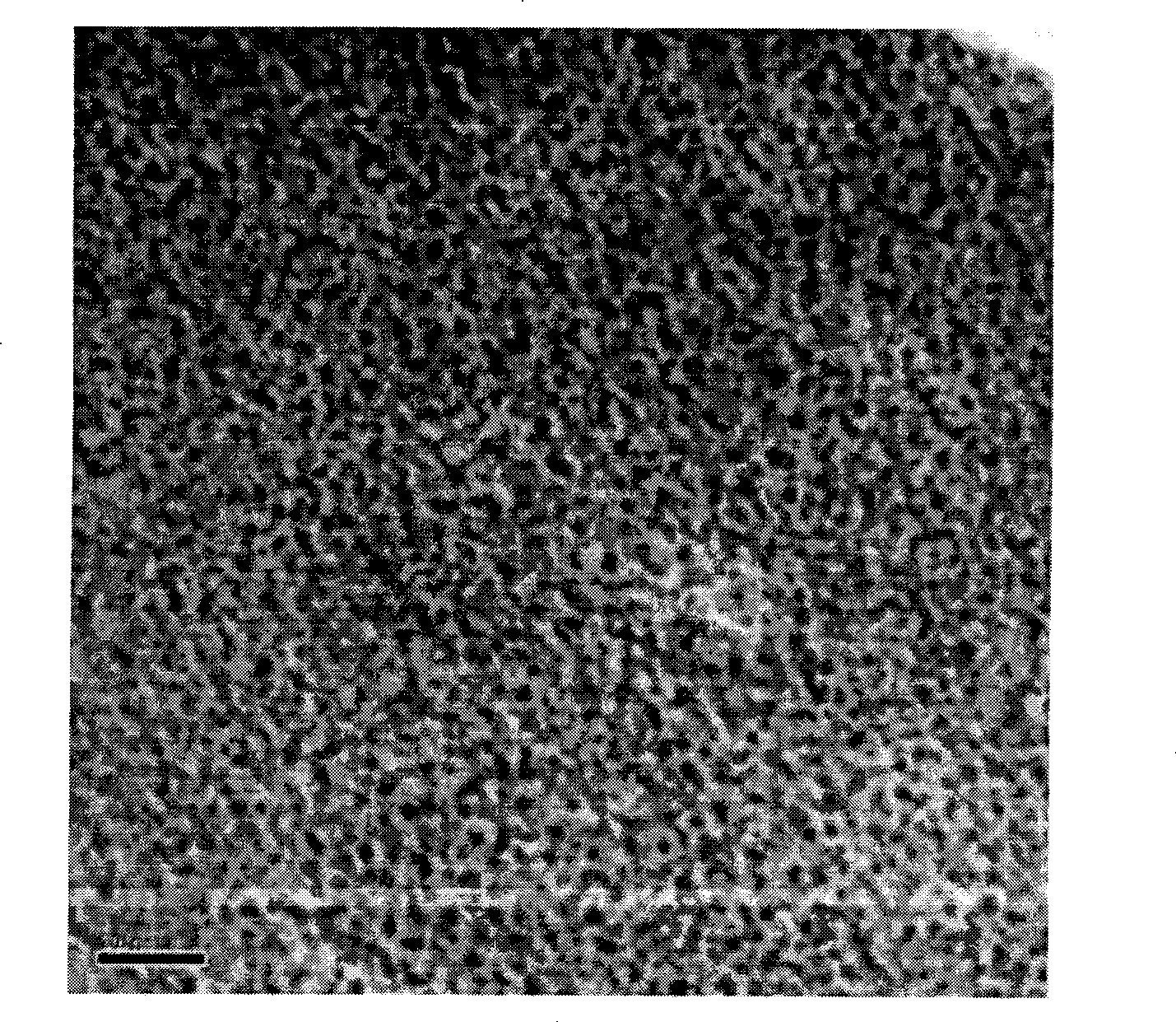 High stability polymer-based nano catalyst and preparation method and use thereof