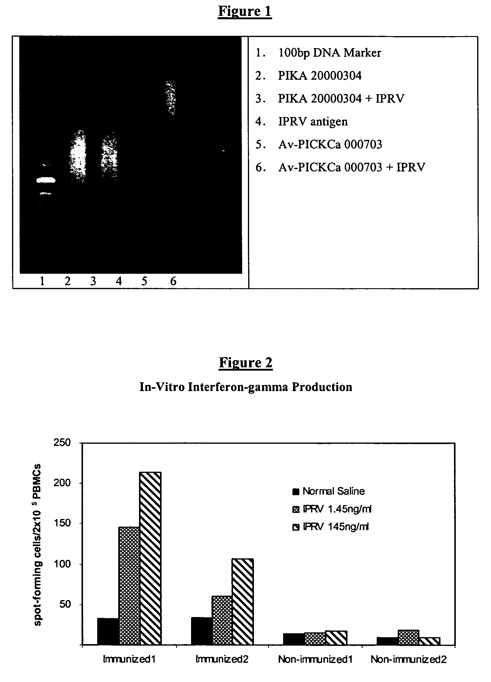 Polyinosinic acid-polycytidylic acid-based adjuvant