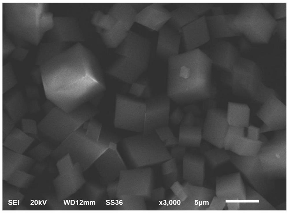 A method for preparing sapo-35 molecular sieves using n-methylpiperidine as a template