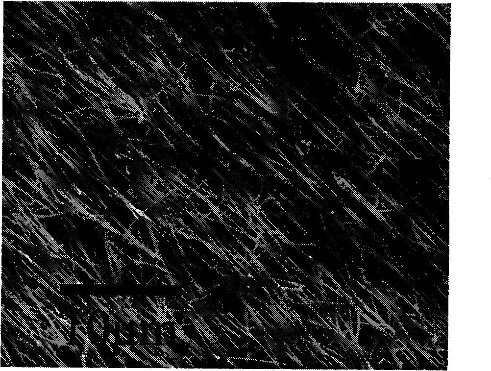 A ZnS monocrystal nanowire growing method