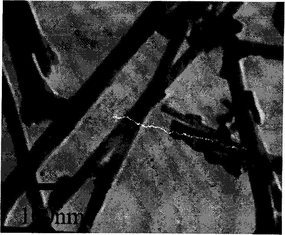 A ZnS monocrystal nanowire growing method