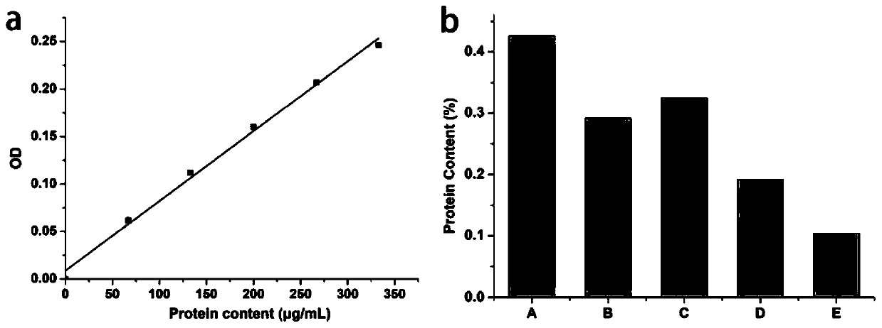 Preparation method of water-soluble alginate for in-vivo implantation