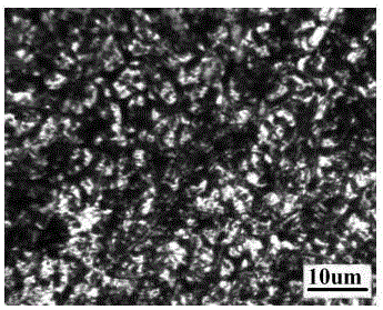 Three-phase aluminum-titanium-copper micro-particle reinforced aluminum alloy protective coating and preparation method thereof