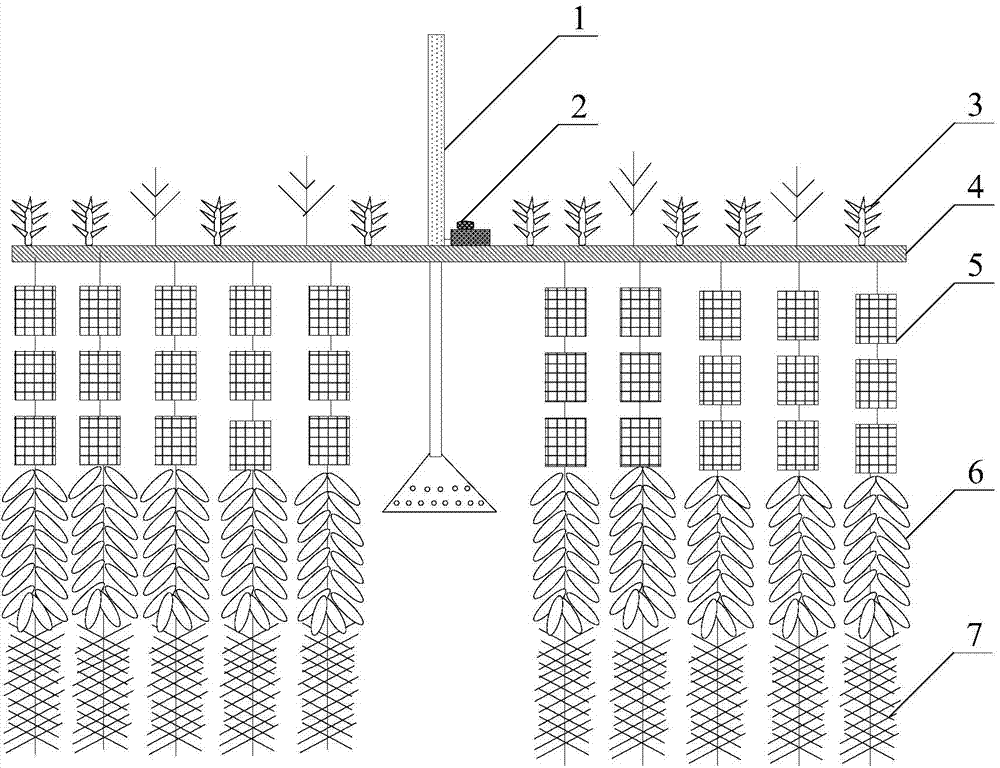 Method for restoring eutrophic water