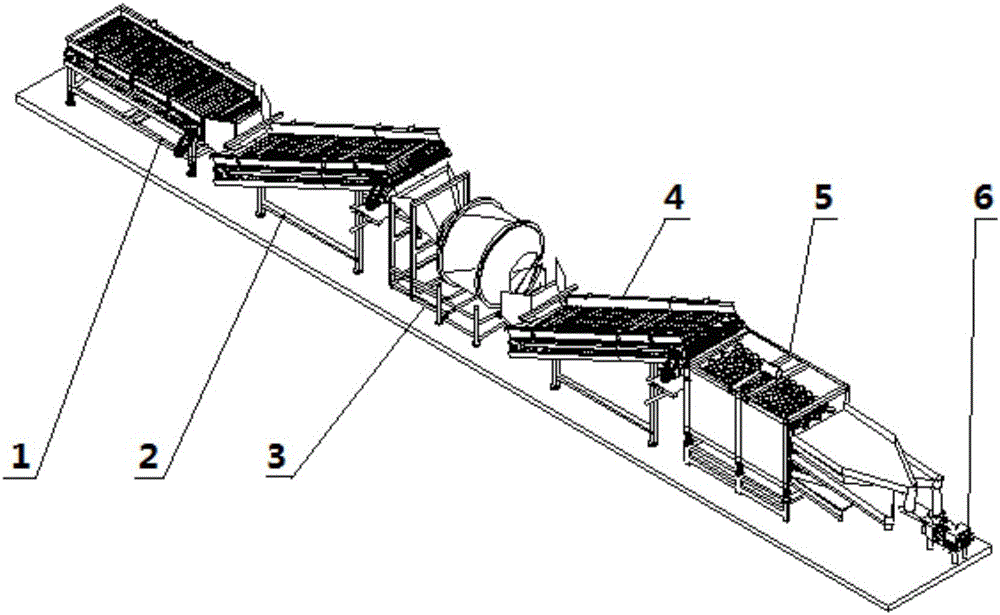 Onion cleaning, sorting and cutting integrated processing production line