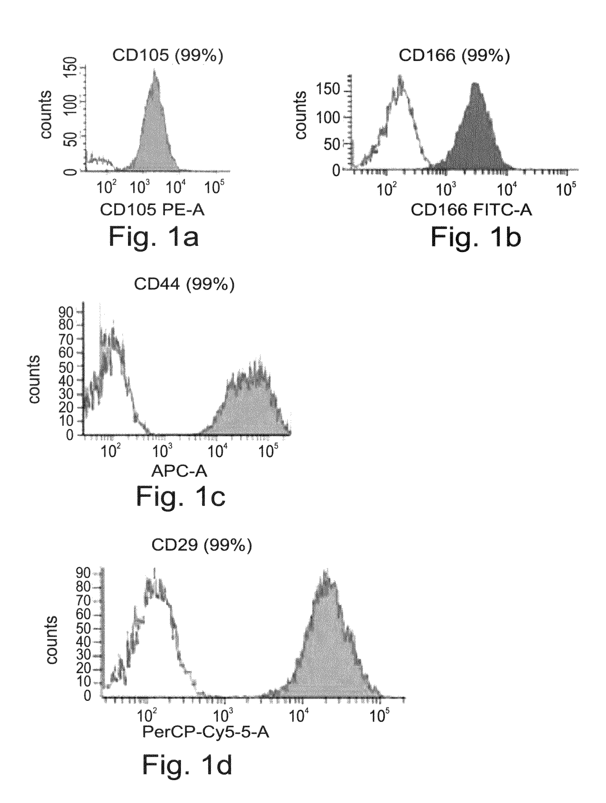 Adult Stem Cell-Derived Connective Tissue Progenitors for Tissue Engineering