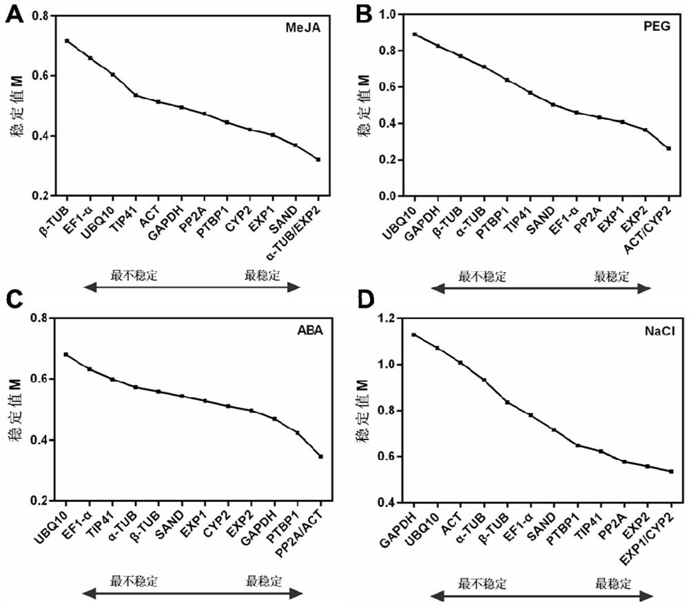 The internal reference gene of coral dish and its screening method and application