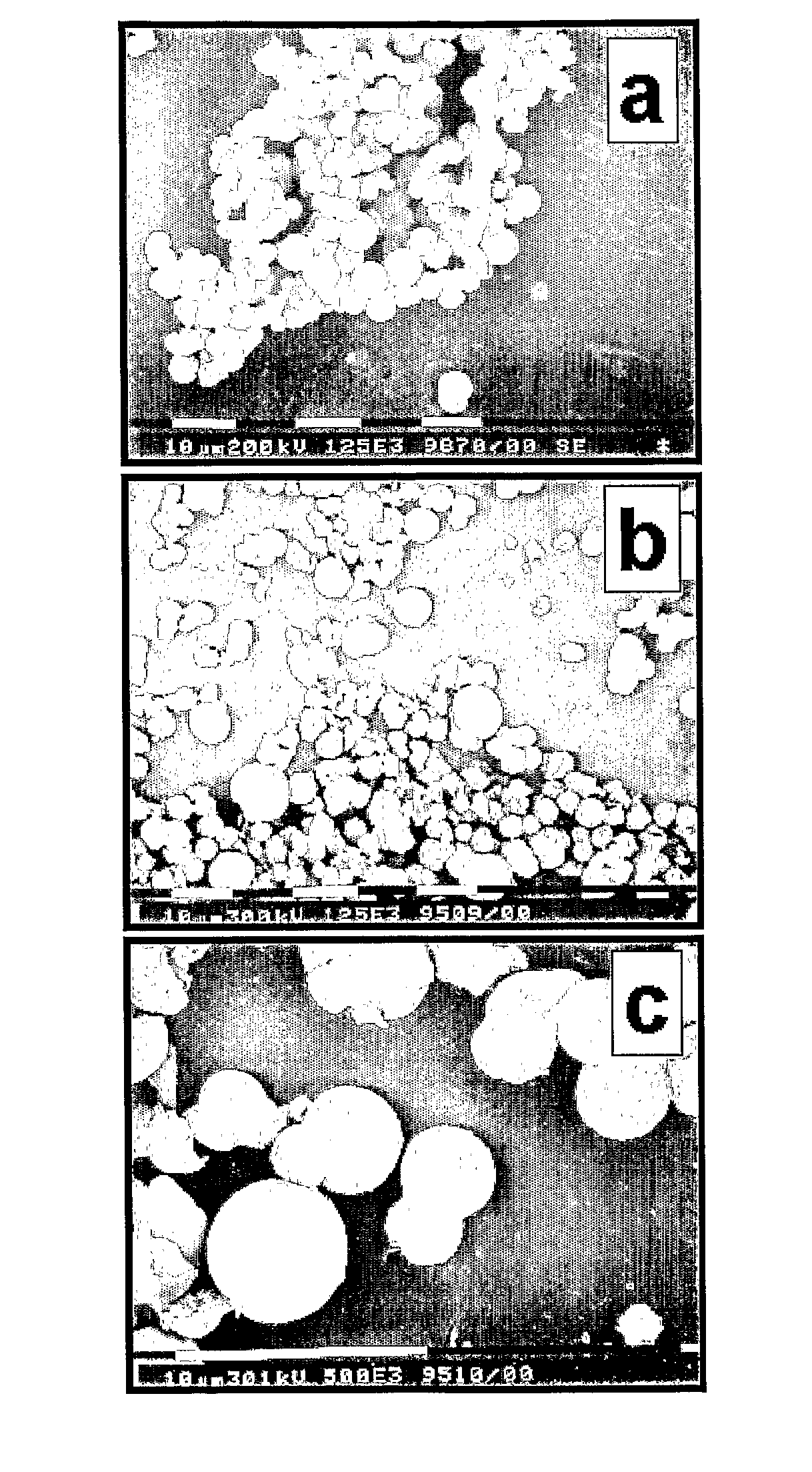 Biocompatible Coating of Medical Devices