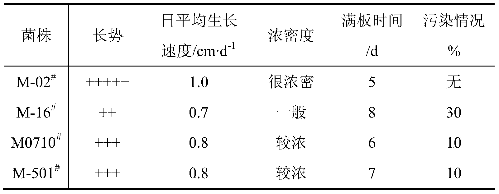 Morchella esculenta bacterial strain and culture method thereof