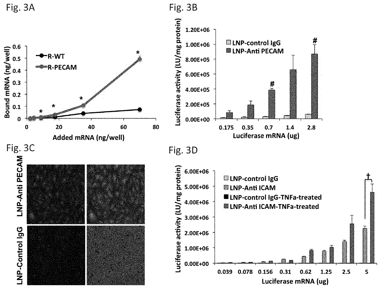 Therapeutic Targeting of Lipid Nanoparticles