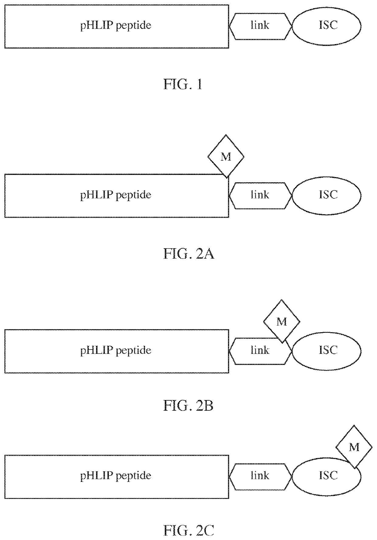 Phlip®-mediated intracellular delivery of immuno-stimulatory compounds