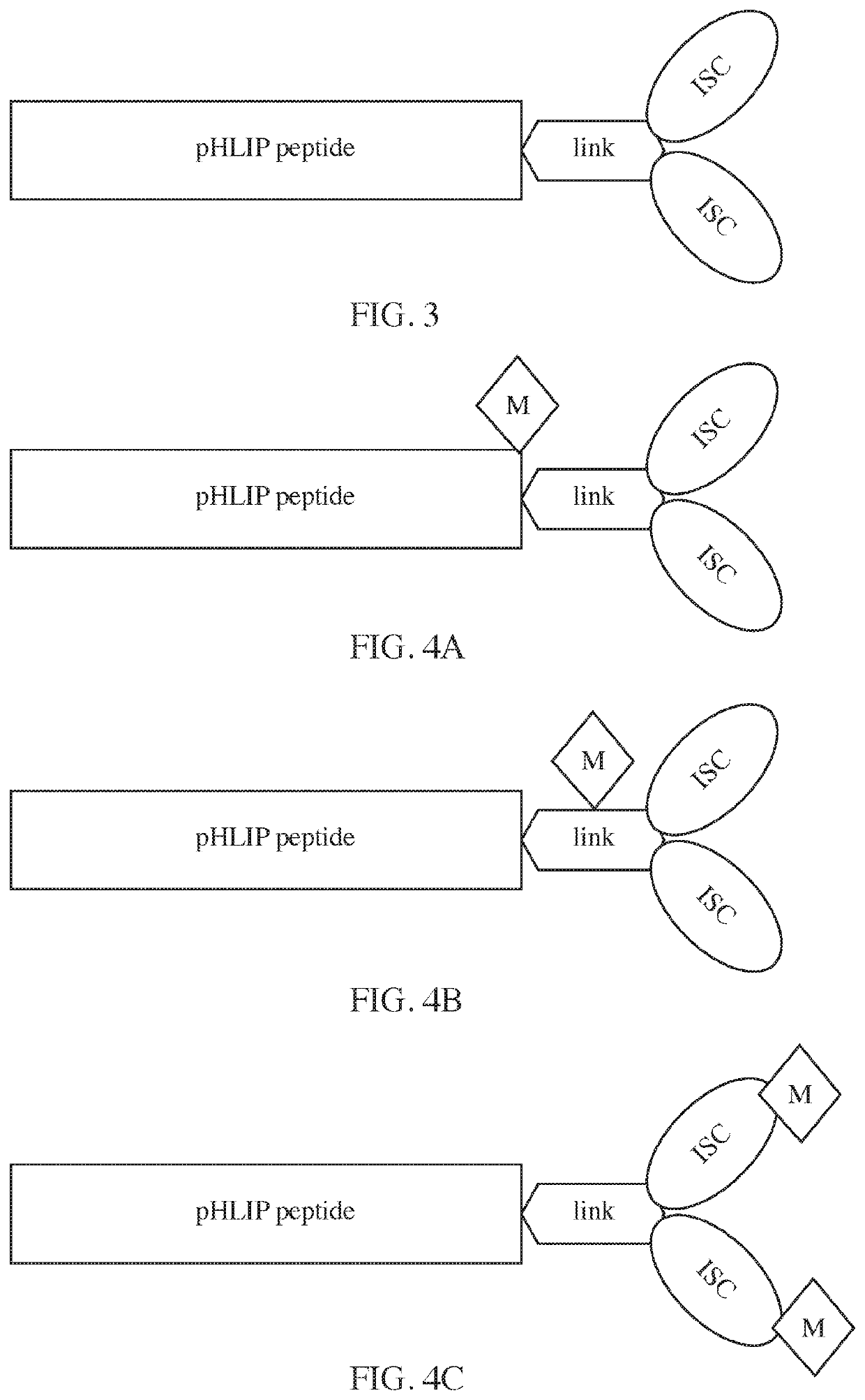 Phlip®-mediated intracellular delivery of immuno-stimulatory compounds