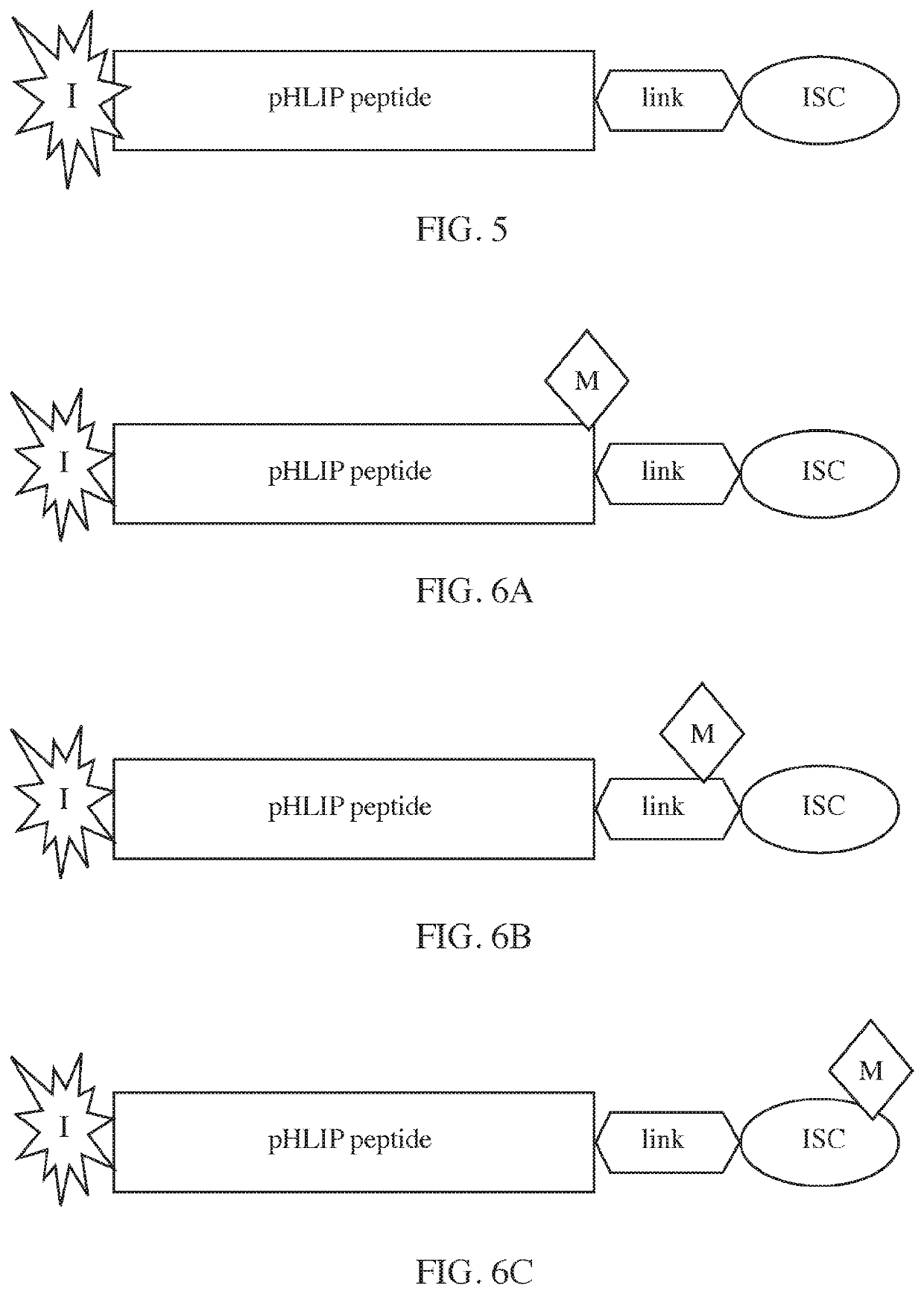 Phlip®-mediated intracellular delivery of immuno-stimulatory compounds