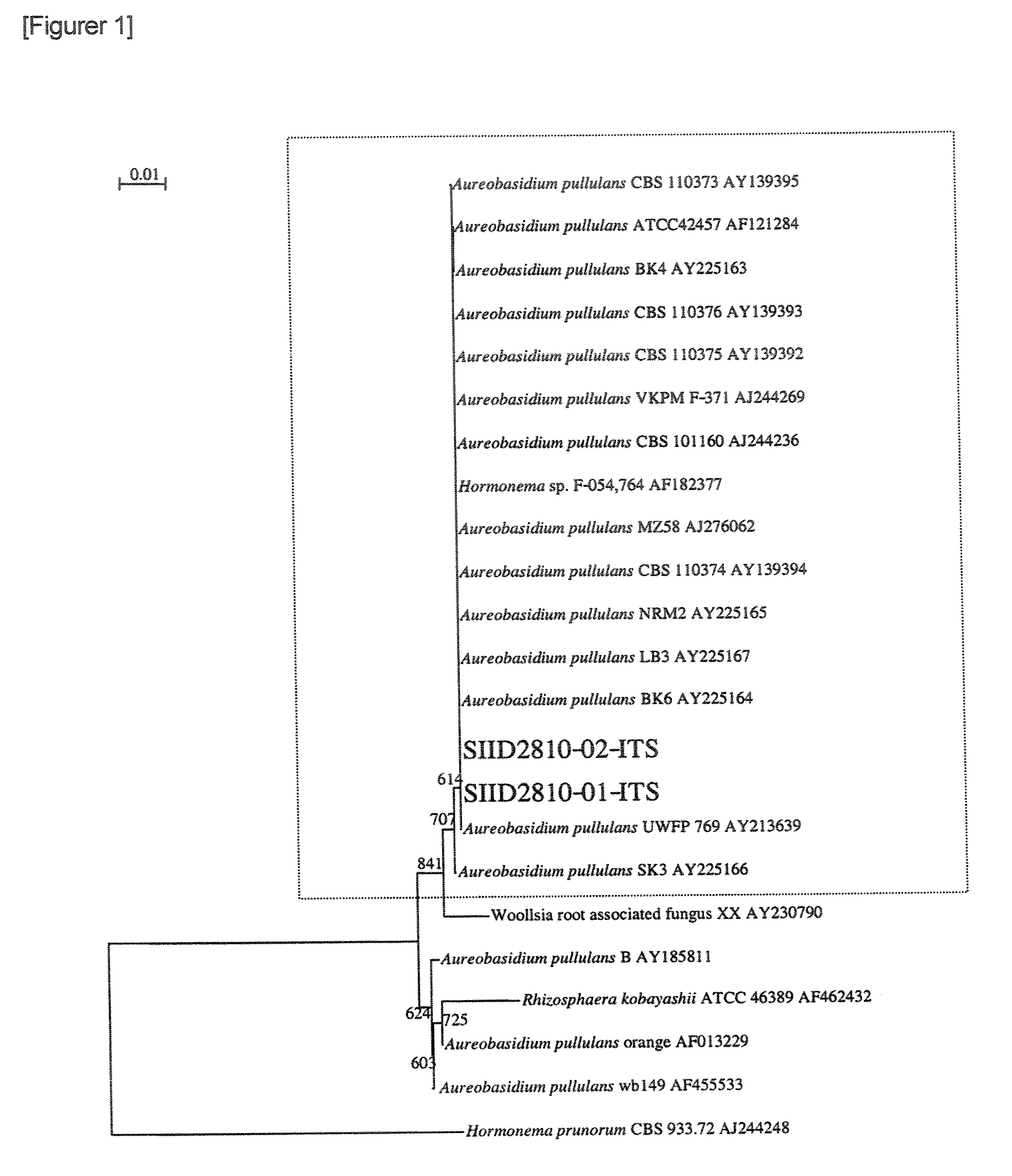 Composition Containing Beta-Glucan, Method of Producing the Same and Foods, Drinks or Skin Moisturizers Containing the Composition