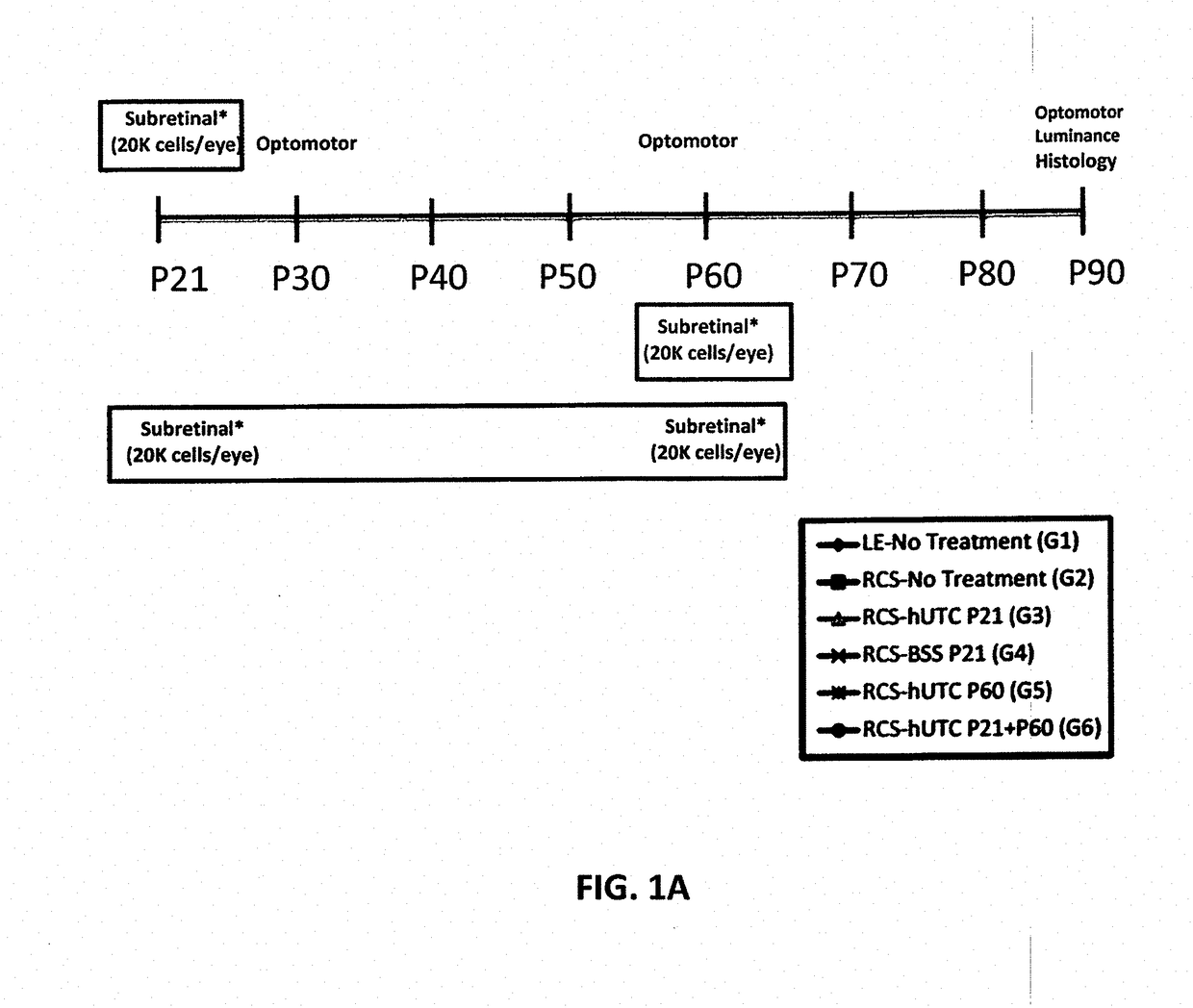 Method of modulating müller glia cells