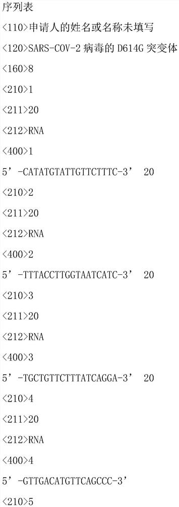 Reagent and detection method for detecting D614G mutant of SARS-COV-2 virus