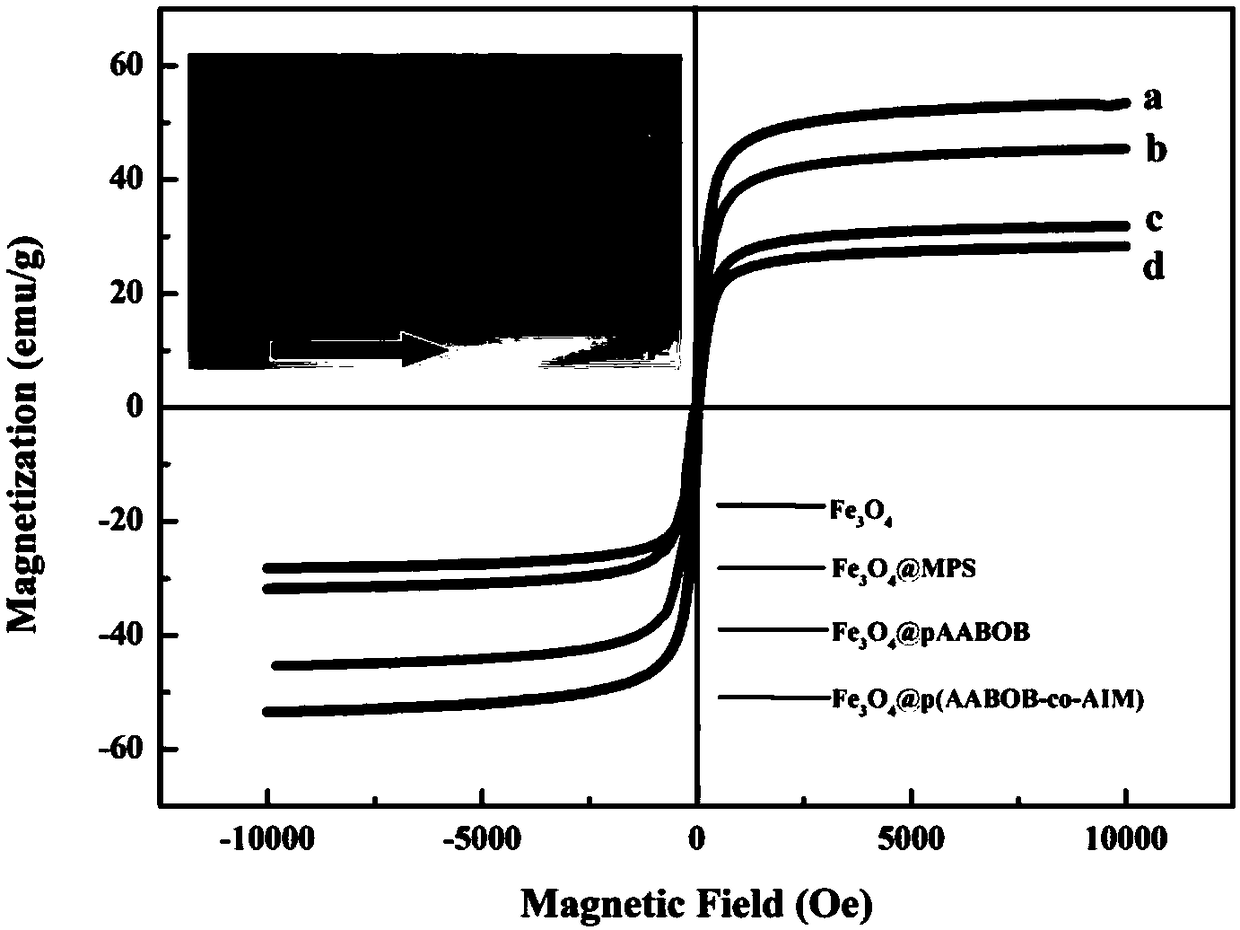 Wulff type phenylboronic acid (AABOB) functionalized magnetic nanometer microspheres and preparation method and applications thereof